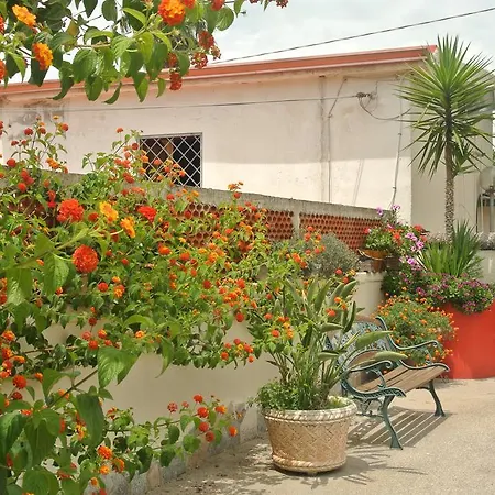 Hotel Hotel Le Pinede Casafort